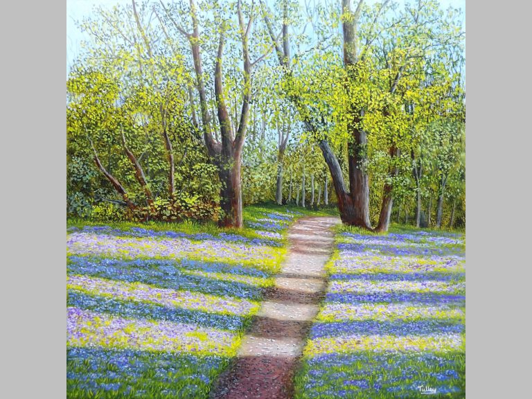 Gallery - Bluebell Path